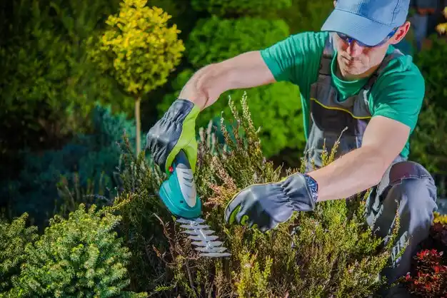 landscaping services Ashley
